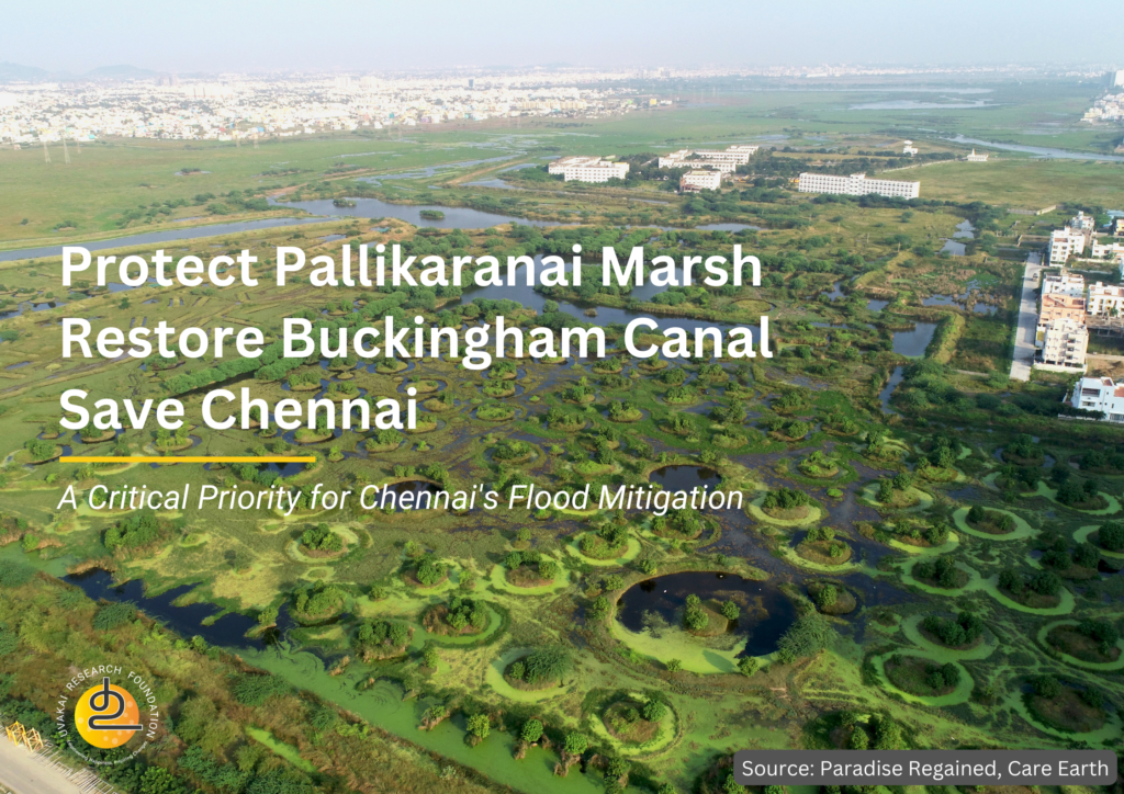 Blog_Pallikaranai_Image 2